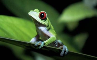 I grant di ricerca di Working Capital, un’occasione per chi ha idee